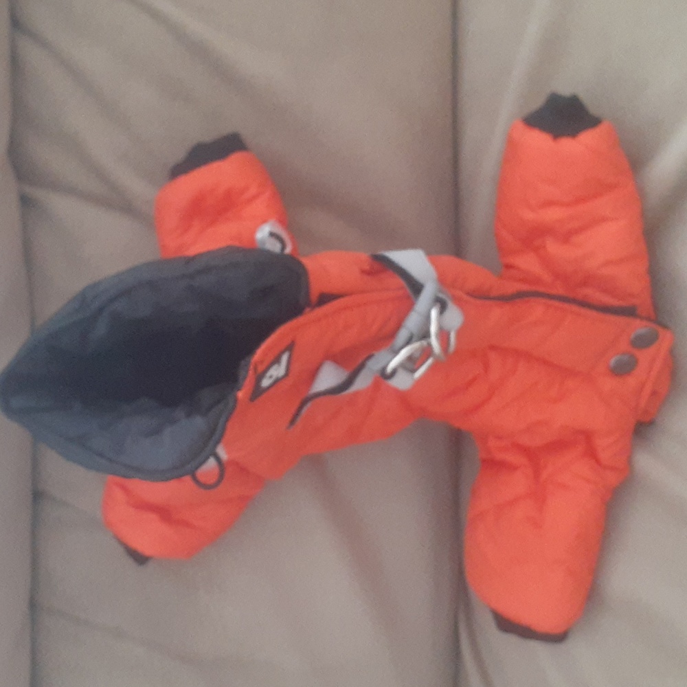 Dog coat
